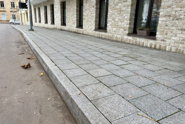 1 2019m. Plačioji g. Vilnius